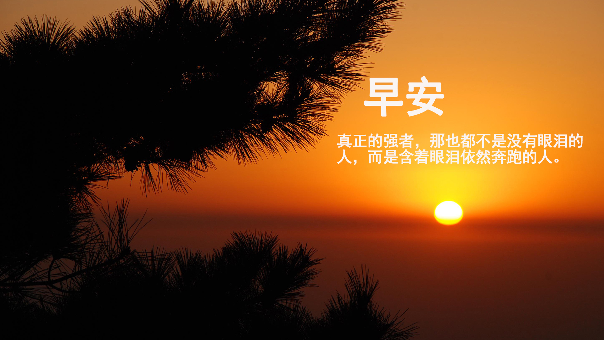 南平卤味加盟店排行榜大全